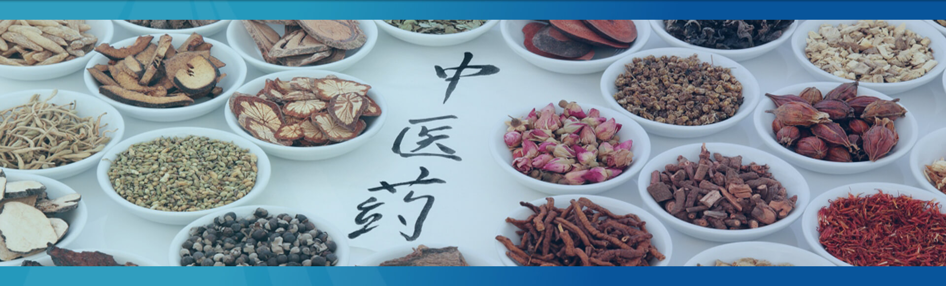 Bachelor of Traditional Chinese Medicine