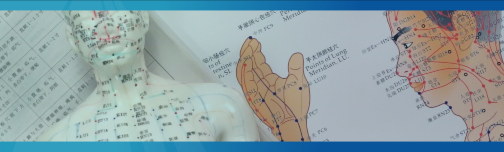 Sydney Institute of Traditional Chinese Medicine